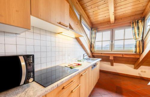 Caldaro Sulla Strada del Vino Apartment | Weingut Lieselehof Apt Panorama