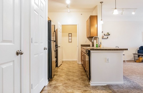 Johnson City Apartment | 1 Bdrm/1 Bath Pool, Gym, Sand Volleyball Court, 10 Mins From Downtown