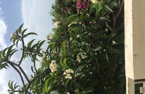 Nizza di Sicilia Apartment | 1 minute from the beautiful Jonio mar harbor