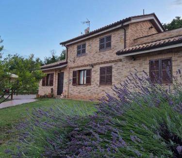 Falerone Bed & Breakfast | 15 m² Bed and breakfast ∙ 3 guests