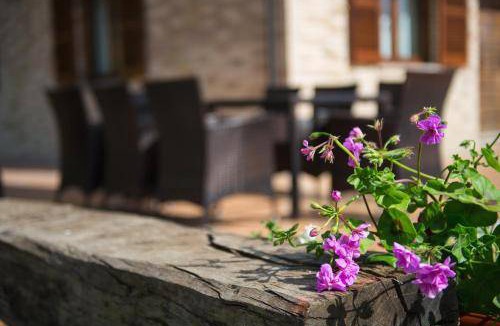 Falerone Bed & Breakfast | 15 m² Bed and breakfast ∙ 3 guests