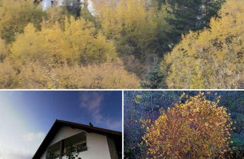 Borzonasca House | 150 m² House ∙ 14 guests
