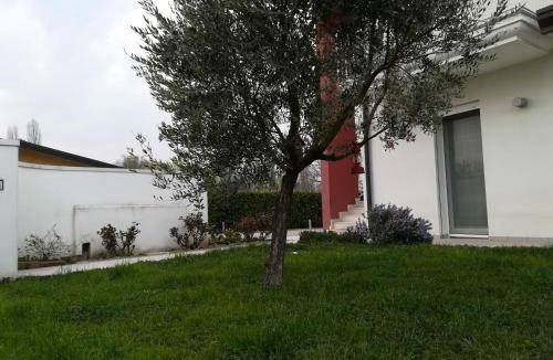 Noventa Padovana Bed & Breakfast | 16 m² Bed and breakfast ∙ 3 guests