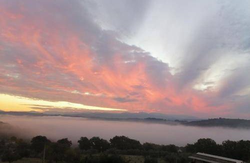 Penna in Teverina Bed & Breakfast | 16 m² Bed and breakfast ∙ 2 guests