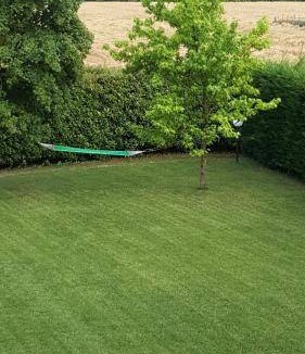 Giarre Bed & Breakfast | 17 m² Bed and breakfast ∙ 3 guests