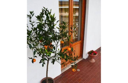 Quartiere XXIX Ponte Mammolo Bed & Breakfast | 18 m² Bed and breakfast ∙ 4 guests