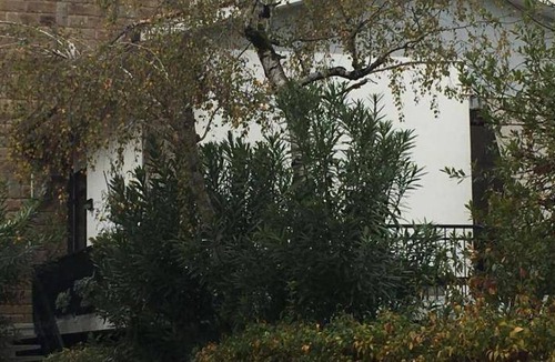 Rovigo Bed & Breakfast | 19 m² Bed and breakfast ∙ 3 guests