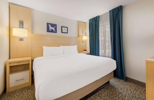 Arrowood Hotel | 2 Suites with Full Kitchen Near Carowinds Amusement Perfect for Long Vacations