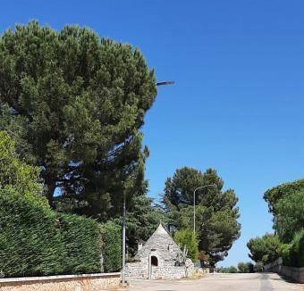 Alcanterini Bed & Breakfast | 20 m² Bed and breakfast ∙ 3 guests