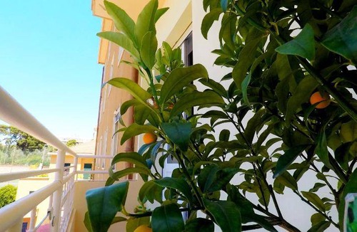 Cagliari Bed & Breakfast | 20 m² Bed and breakfast ∙ 3 guests