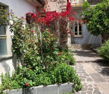Sardara Bed & Breakfast | 20 m² Bed and breakfast ∙ 2 guests