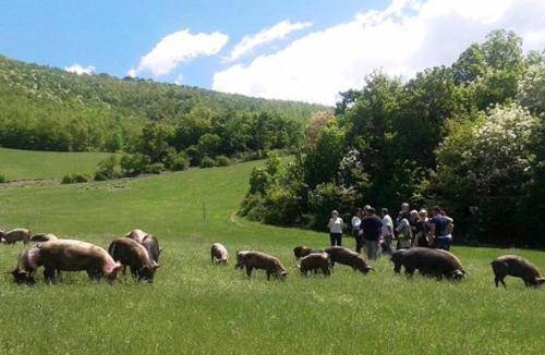 Norcia Bed & Breakfast | 20 m² Bed and breakfast ∙ 4 guests