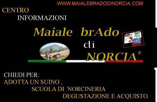 Norcia Bed & Breakfast | 20 m² Bed and breakfast ∙ 4 guests