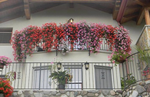 Cagno Bed & Breakfast | 20 m² Bed and breakfast ∙ 3 guests