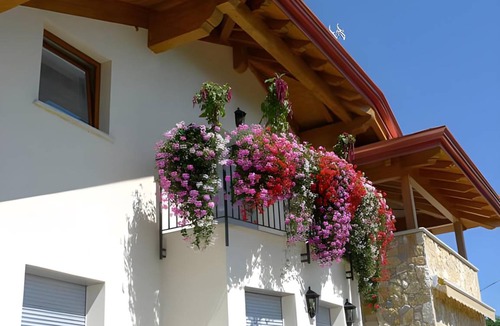 Cagno Bed & Breakfast | 20 m² Bed and breakfast ∙ 3 guests