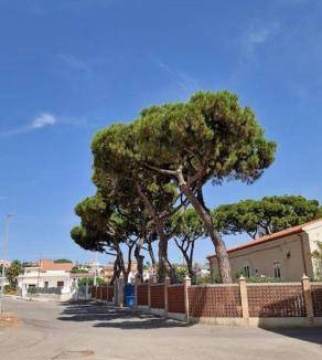 Amendolara Bed & Breakfast | 22 m² Bed and breakfast ∙ 4 guests