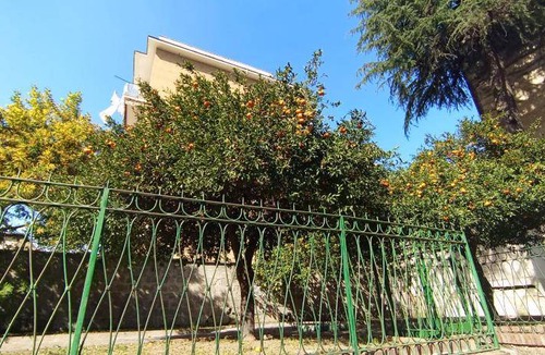 Naples Bed & Breakfast | 25 m² Bed and breakfast ∙ 4 guests