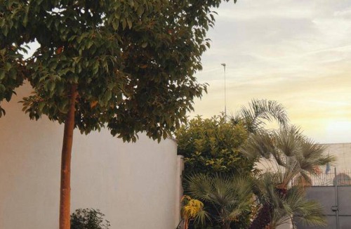 Castromediano Bed & Breakfast | 27 m² Bed and breakfast ∙ 3 guests