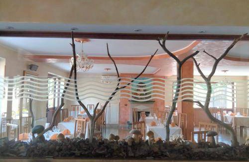Decollatura Hotel | 27 m² Hotel ∙ 4 guests