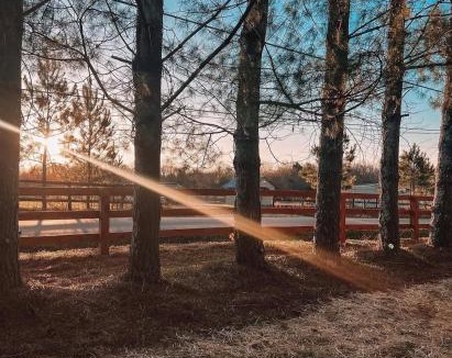 Altamont Villa | 29 Pines Cottage