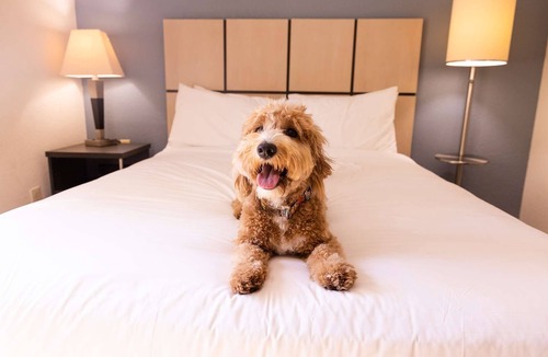 Morris Plains Hotel | 3 1BR Suites w/Kitchen & BBQ Area for Home-Like Comfort and Easy NYC Access