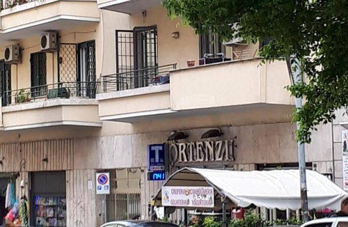 Quartiere XVII Trieste Bed & Breakfast | 30 m² Bed and breakfast ∙ 3 guests