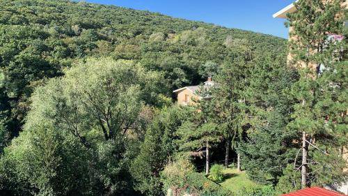 San Giovanni-Chiadino-Rozzol Bed & Breakfast | 30 m² Bed and breakfast ∙ 3 guests