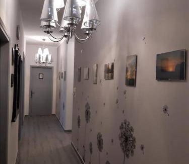 Berra Bed & Breakfast | 30 m² Bed and breakfast ∙ 3 guests