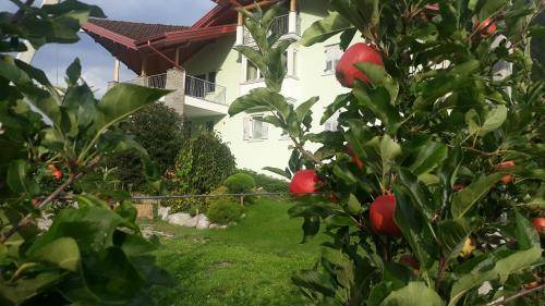 Croviana House | 30 m² Farmhouse ∙ 5 guests