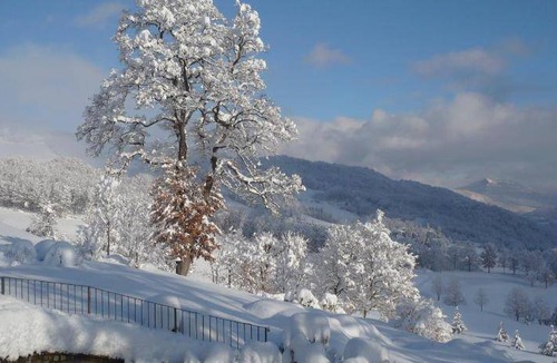 Monzuno Bed & Breakfast | 33 m² Bed and breakfast ∙ 3 guests
