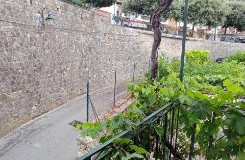 Casal Velino Bed & Breakfast | 35 m² Bed and breakfast ∙ 4 guests