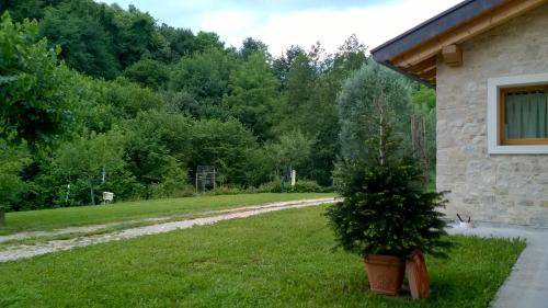 Miane Bed & Breakfast | 35 m² Bed and breakfast ∙ 2 guests