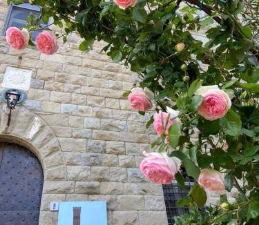 San Lazzaro di Savena Bed & Breakfast | 37 m² Bed and breakfast ∙ 3 guests