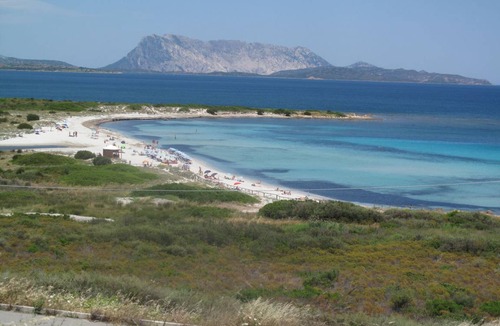 San Teodoro City Centre Apartment | 38 m² Apartment ∙ 1 bedroom ∙ 4 guests