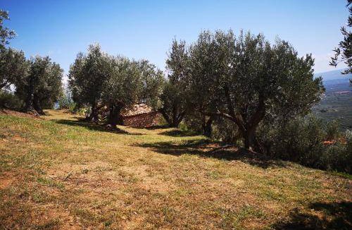 Lamezia Terme Villa | 38 m² Villa ∙ 1 bedroom ∙ 2 guests