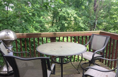 Fry's Spring House | 4 BR Cozy Home near UVA, Downtown & Wineries