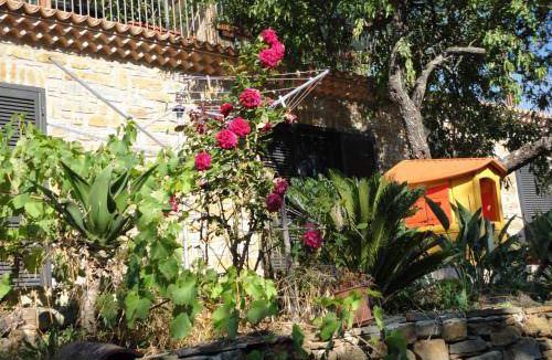 Ogliastro Cilento Apartment | 40 m² Apartment ∙ 2 bedrooms ∙ 3 guests
