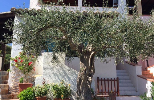 Sarroch Apartment | 40 m² Apartment ∙ 2 bedrooms ∙ 4 guests