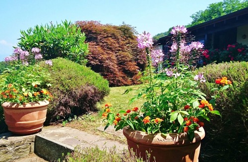 Castelveccana House | 4½-room house with large plot & dream lake view in a quiet and sunny location