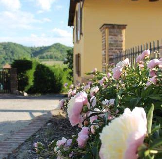 Camino House | 50 m² House ∙ 1 bedroom ∙ 2 guests