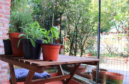 Pino Torinese Apartment | 53 m² Apartment ∙ 1 bedroom ∙ 4 guests