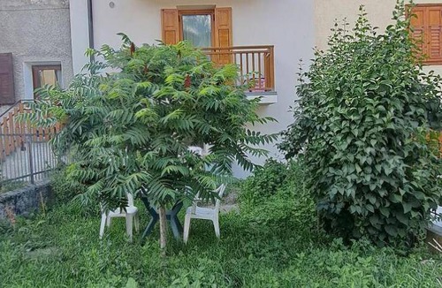 Dimaro Apartment | 55 m² Apartment ∙ 2 bedrooms ∙ 5 guests