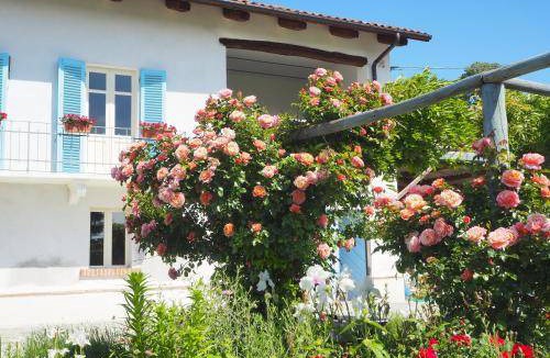 Belveglio Bed & Breakfast | 55 m² Bed and breakfast ∙ 2 guests