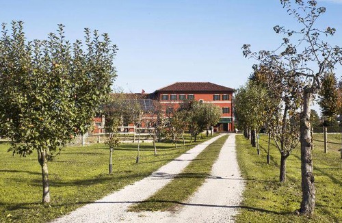 Chiarano Bed & Breakfast | 55 m² Bed and breakfast ∙ 5 guests