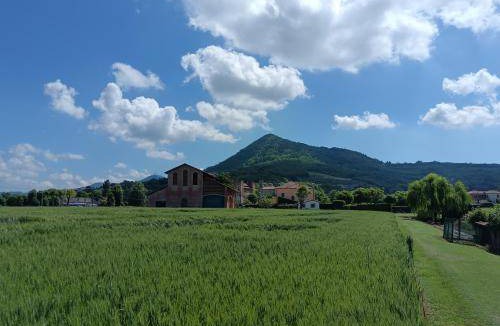 Lozzo Atestino Apartment | 60 m² Apartment ∙ 1 bedroom ∙ 2 guests