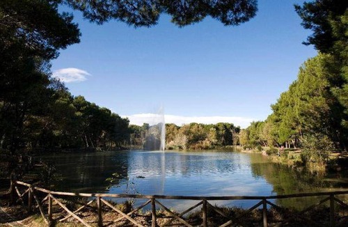 Pineta Apartment | 68 m² Apartment ∙ 2 bedrooms ∙ 6 guests