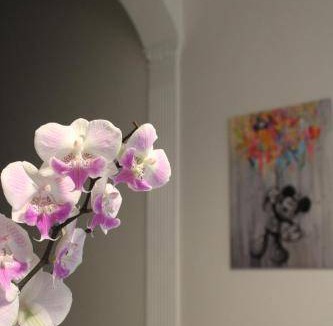 Nonantola Bed & Breakfast | 78 m² Bed and breakfast ∙ 3 guests