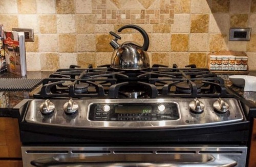 Wicker Park House | 8 beds. Wicker Park Spacious Guest House wi/Spa Bath, Fireplace, 1 Grg Spot.