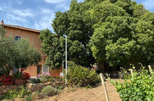 Lanusei Apartment | 80 m² Apartment ∙ 2 bedrooms ∙ 4 guests