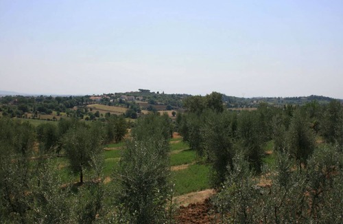 Marciano della Chiana Apartment | 80 m² Apartment ∙ 2 bedrooms ∙ 5 guests